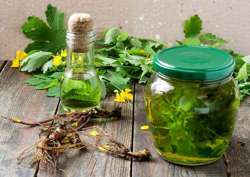 nalewka z glistnika na zapalenie prostaty